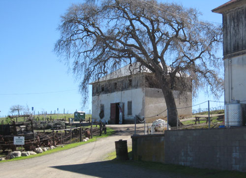 Thomas Coyne Winery