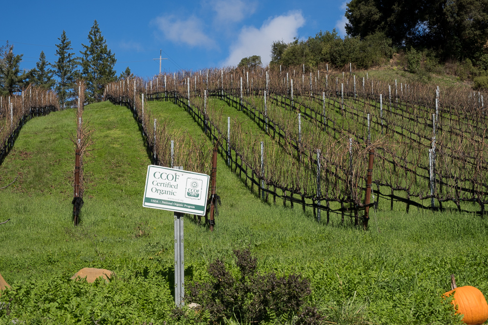 Big Basin Estate Vineyards