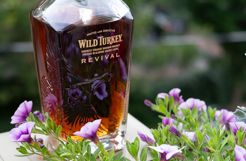 Wild Turkey Revival